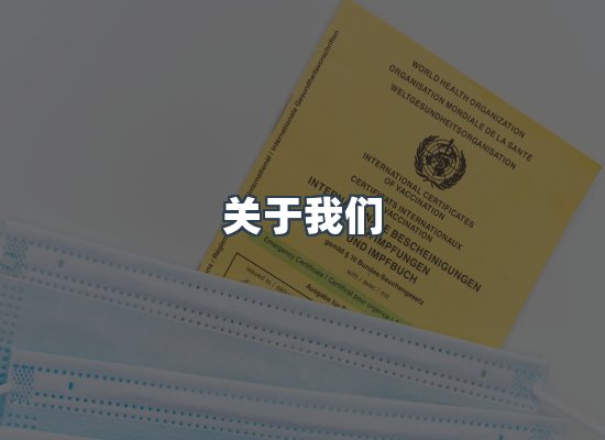 关于我们
